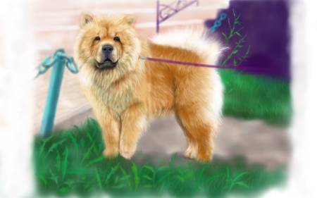 方可成-守護之境