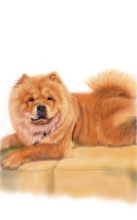 方可成-悠然時光