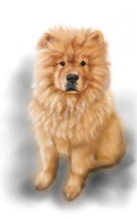 方可成-純真守護者