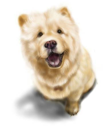 方可成-暖心微笑