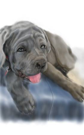 方可成-靜謐守護