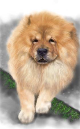 方可成-尊榮步伐