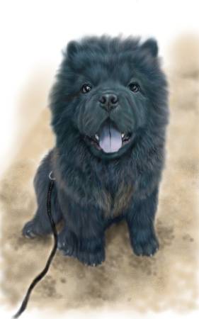 方可成-夜色微笑