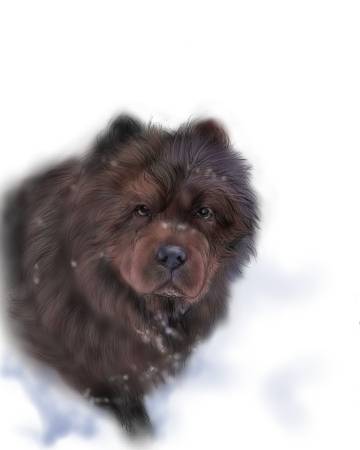 方可成-冰雪騎士