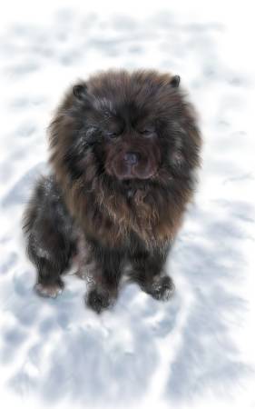 方可成-孤傲之心