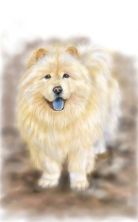 方可成-幸福的凝視