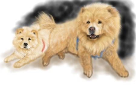 方可成-雙倍的快樂