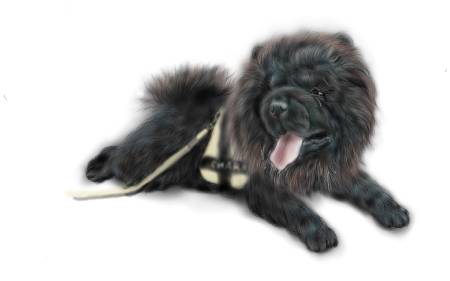 方可成-黑曜之心