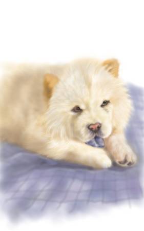 方可成-慵懶時光