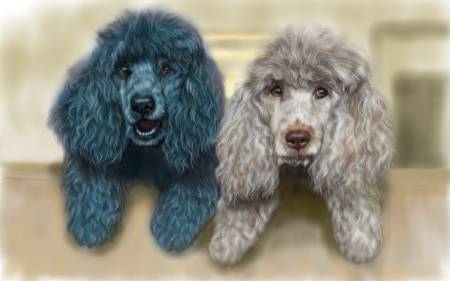 方可成-優雅的守護者