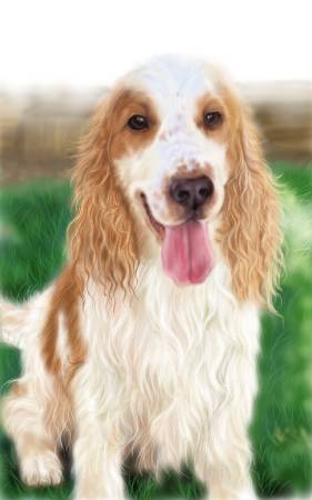 方可成-快樂的一天