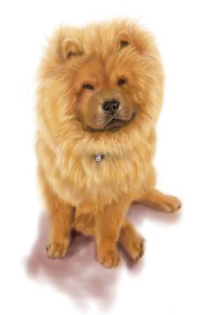 方可成-溫暖的王者