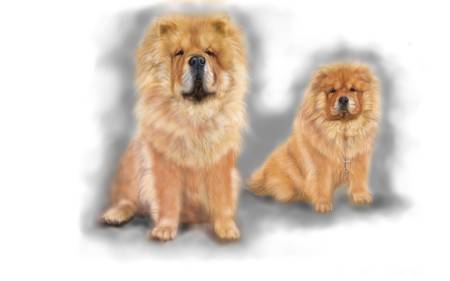 方可成-王者與傳承