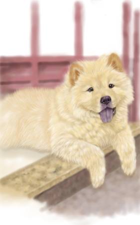 方可成-午後的慵懶