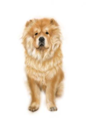 方可成-沉穩的守護者