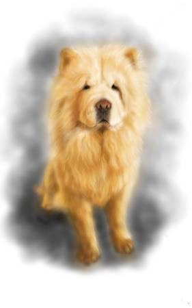 方可成-光與影的守護