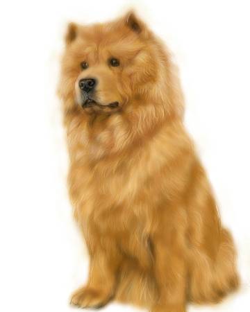 方可成-棕韻凝視