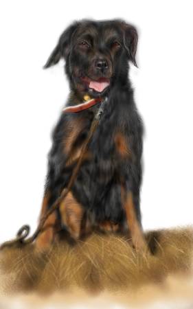 方可成-黃野凝眸·棕足之韻