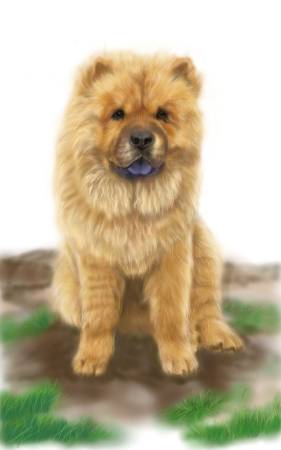 方可成-紫韻泥蹤