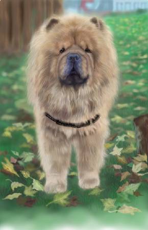 方可成-絨中有情