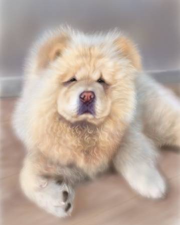 方可成-毛絨詩篇