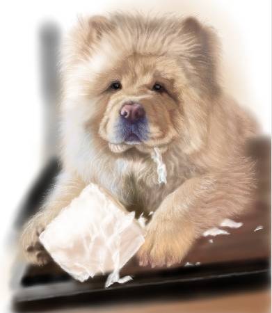 方可成-淘氣小頑皮