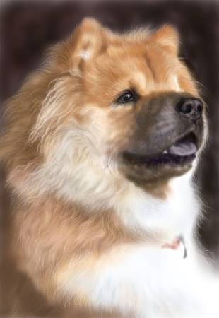 方可成-毛絨王者