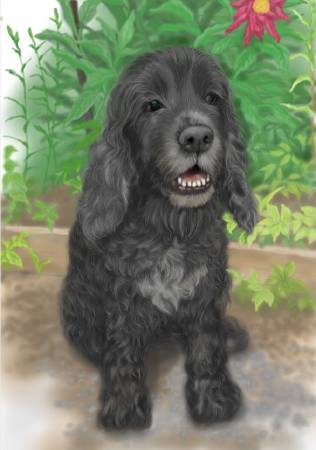 方可成-花園的呼喚