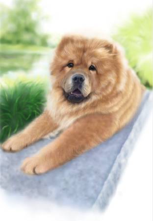 方可成-目光不語