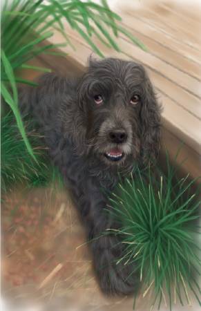 方可成-庭院邂逅