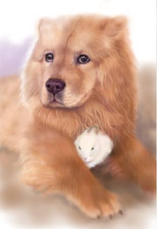 方可成-眼底星辰