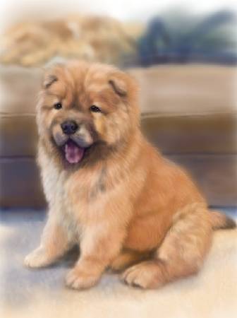 方可成-暖毛之境