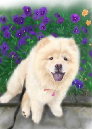 方可成-毛海奇蹟