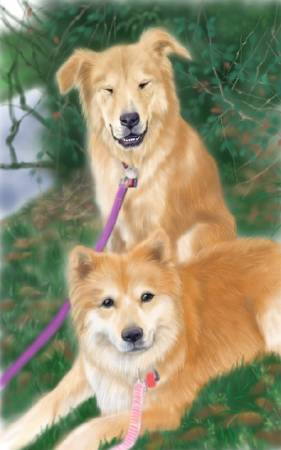 方可成-散步的喜悅