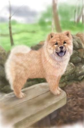 方可成-冒險的呼喚