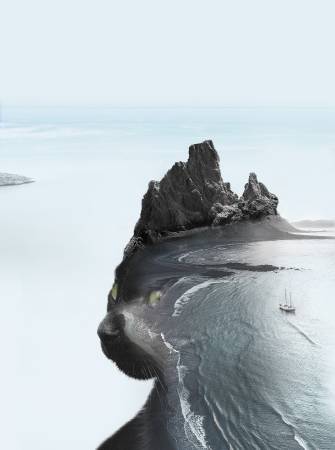 古淂貝 -黑貓之島