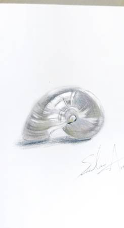 毓Stella-海月銀之貝 Moonlit Silver Shell 
