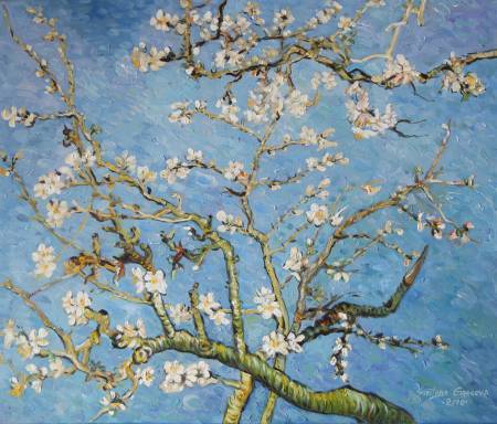葛拉娜-Blossom, inspired by Van Gogh	