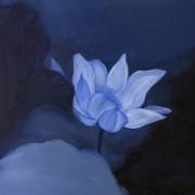 艾莉兒蕭