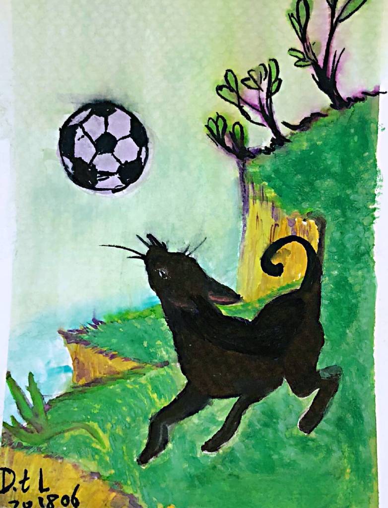 Danting-play soccer [含框]
