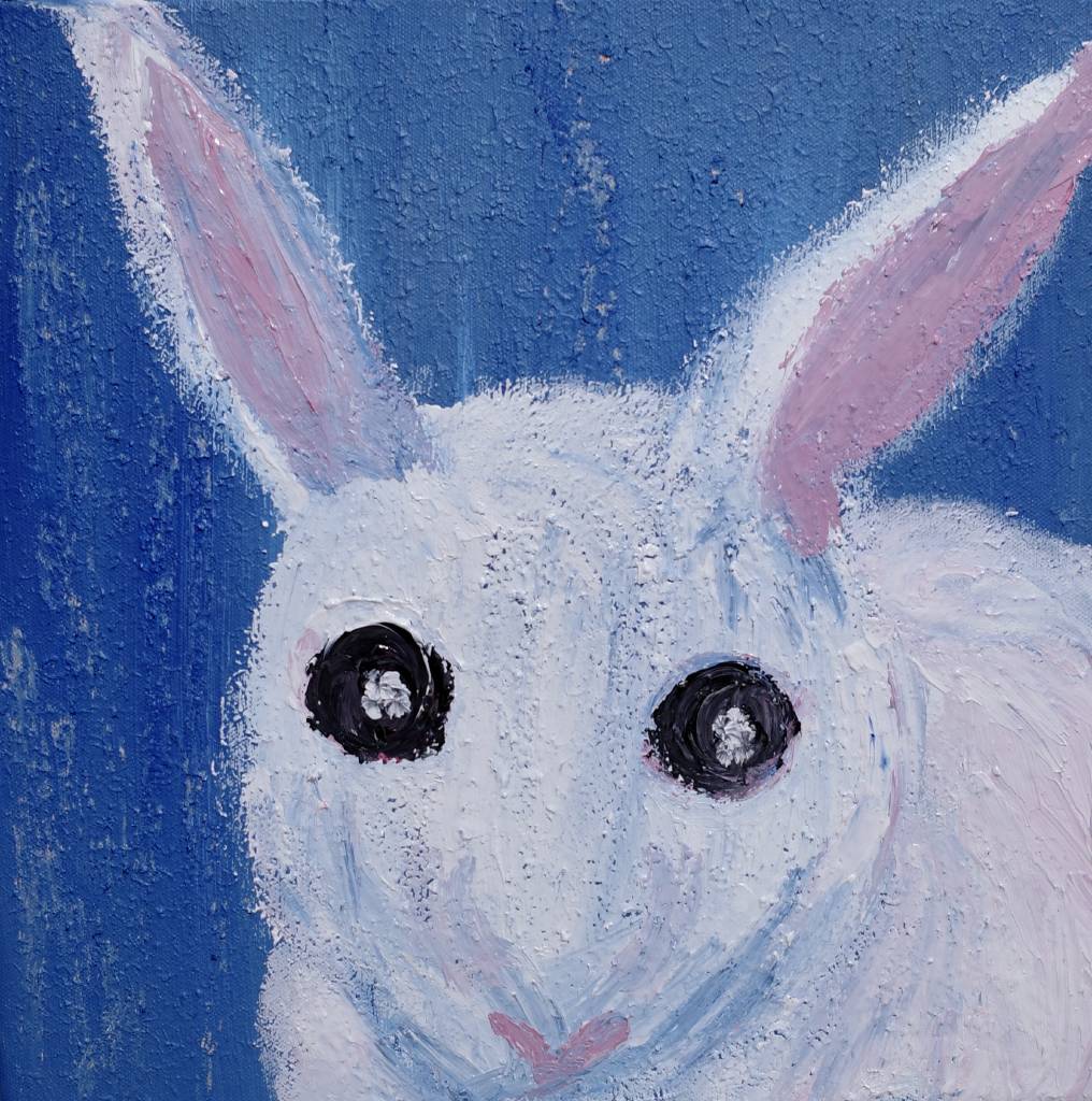 黃涵柔-憂鬱的兔子