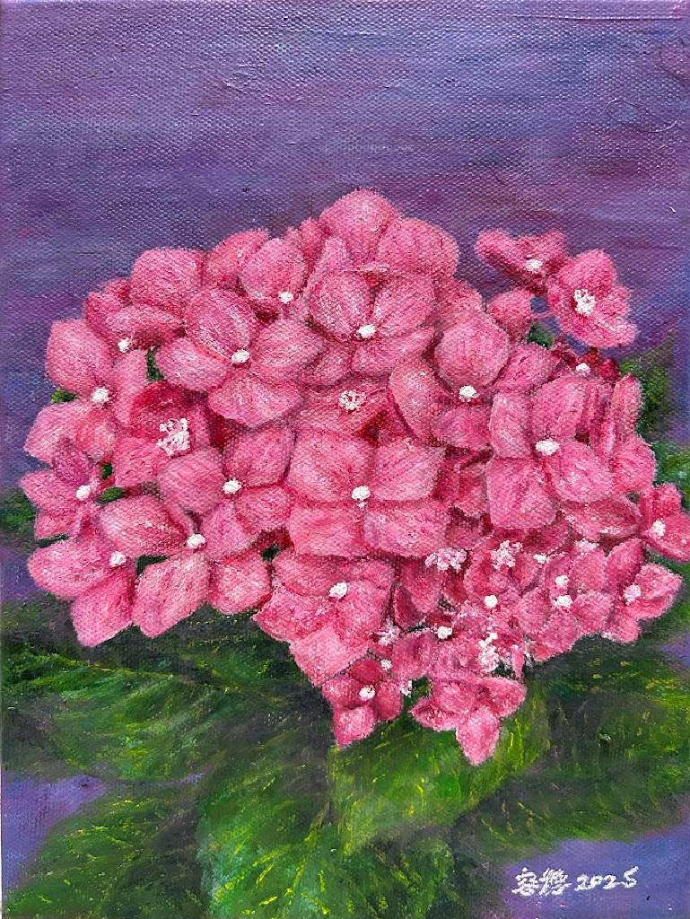 林容德-粉紫色繡球花Pink and purple hydrangea