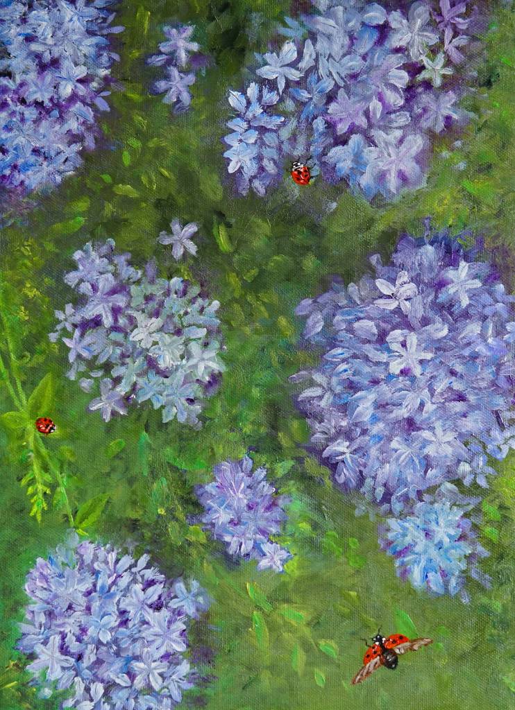 蔡秝芸-夏天的藍雪花