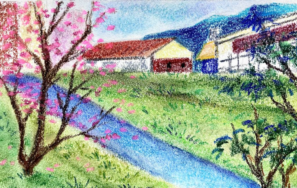 蘇靖雯-河道旁的櫻花樹