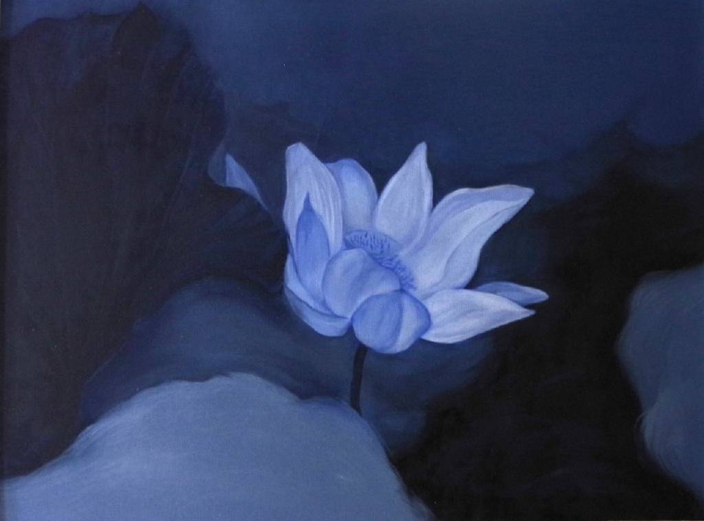 艾莉兒蕭-濃霧中的一朵厚蓮花