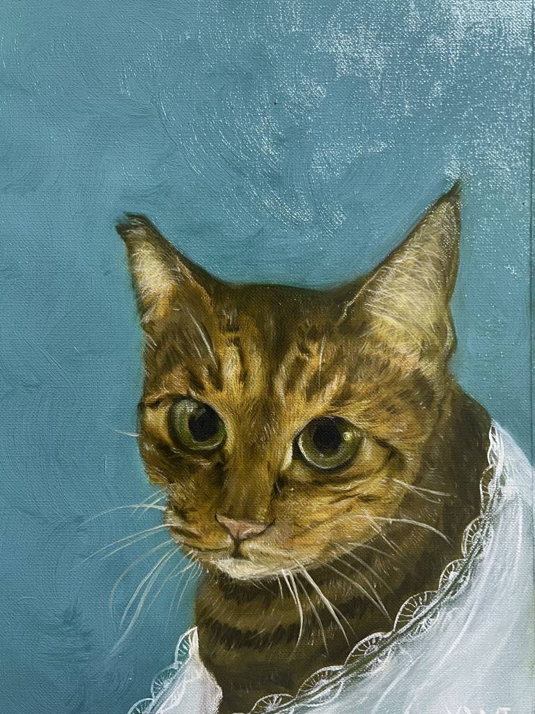 艾莉兒蕭-蕾絲小女孩喵喵