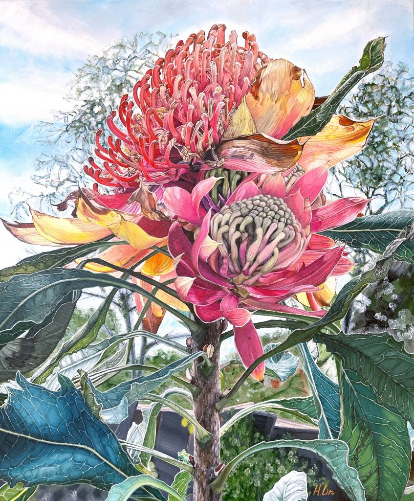 林昕-一輩子的勇氣 - 紅火球帝王花 { A Lifetime Fortitude – Waratah }