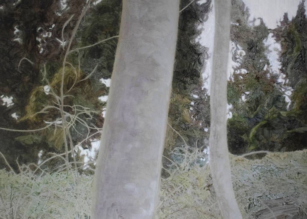 楊承諺-悄然接近