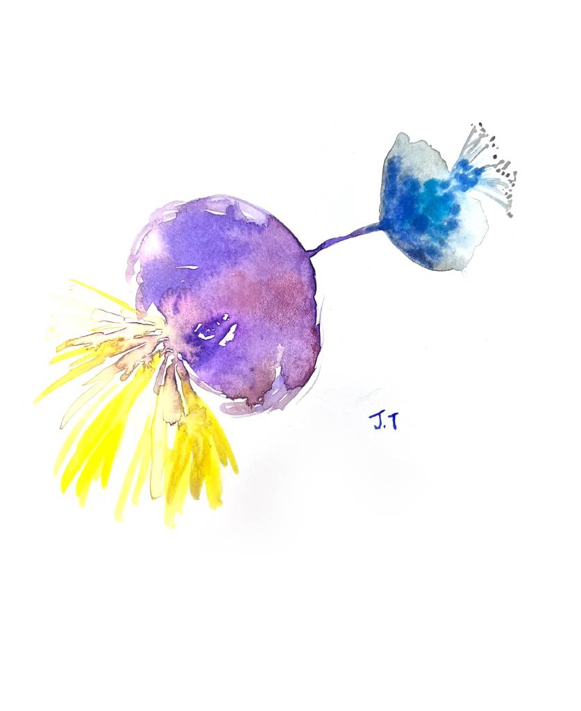 小樹茉莉-兩生花