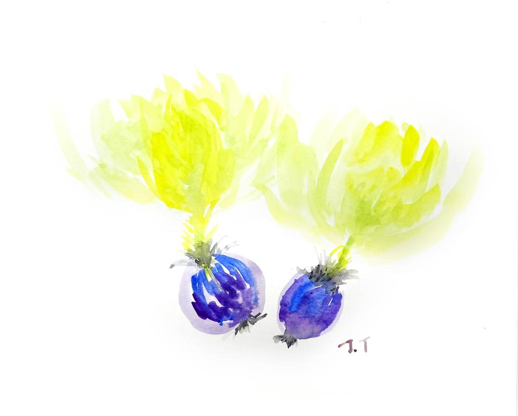 小樹茉莉-長生草